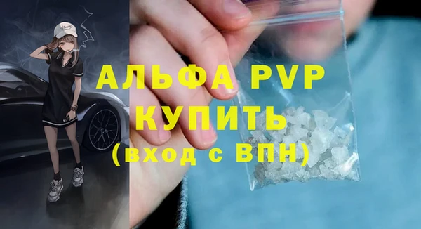 стафф Березники