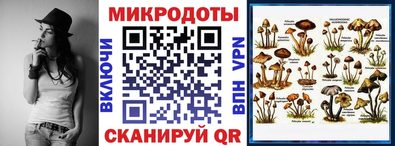 Псилоцибиновые грибы Psilocybine cubensis Горнозаводск